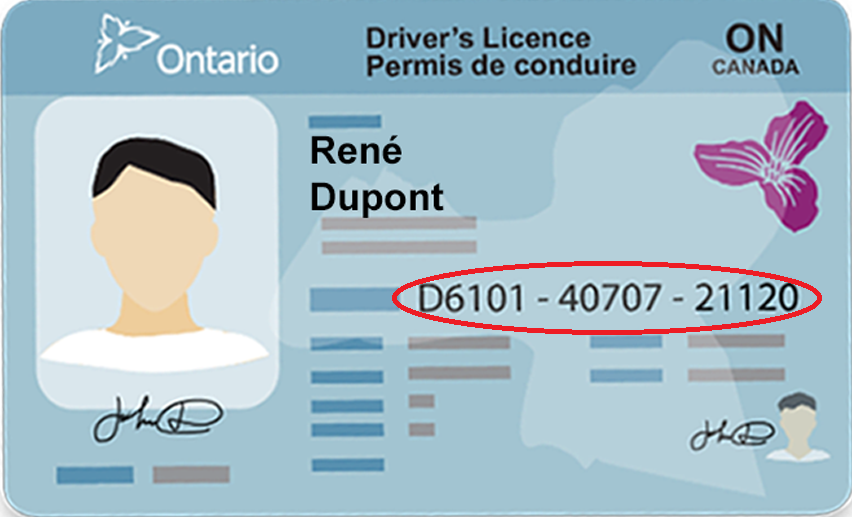 Ontario Driver’s Licence showing location of Driver’s Licence number.